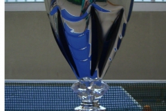 VM-Pokal